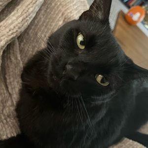 Meet your Posher, Jonathan